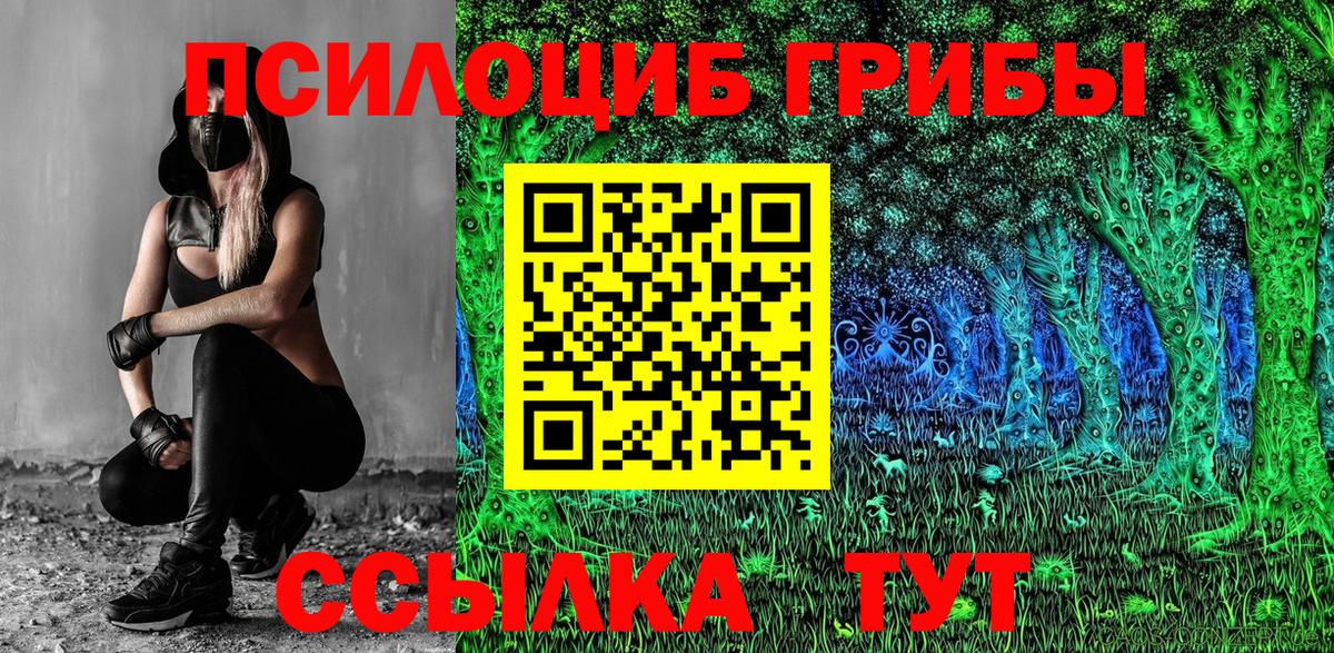 Воркута  Галлюциногенные грибы Psilocybine cubensis  Вход с VPN 